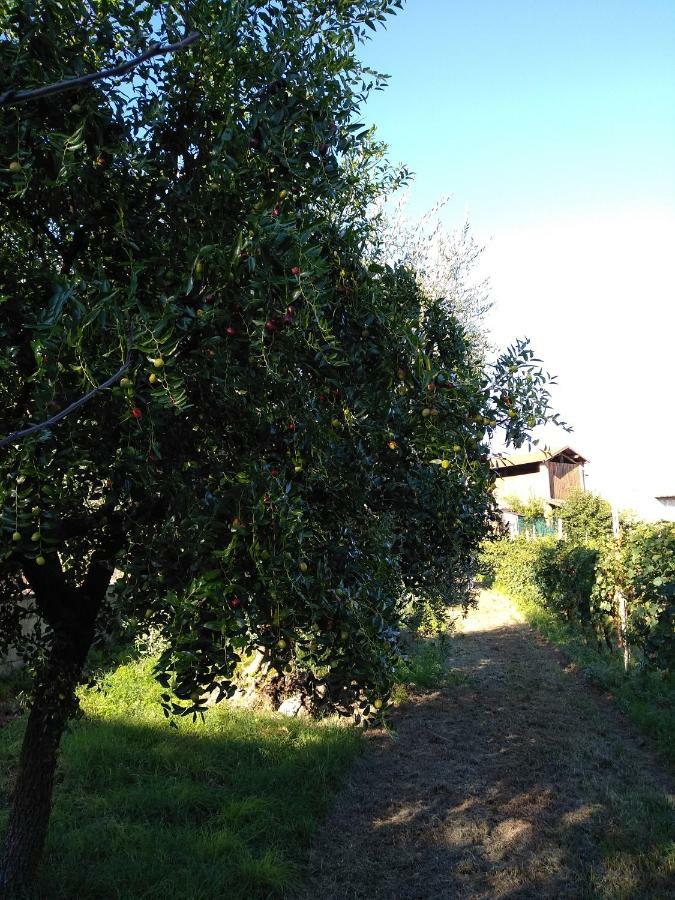 Appartamento Il Brolo Polpenazze del Garda Esterno foto